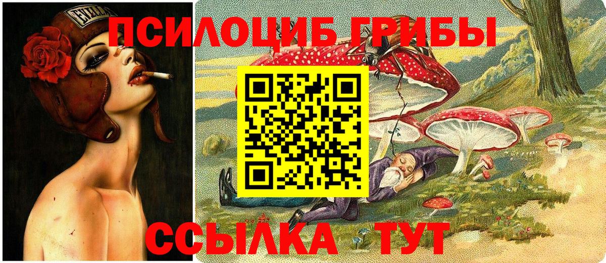 Алапаевск  Галлюциногенные грибы прущие грибы  Вход с VPN 